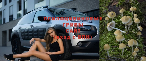 ГАЛЛЮЦИНОГЕННЫЕ ГРИБЫ Абдулино